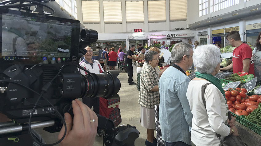 sommoltbe-850x638-002