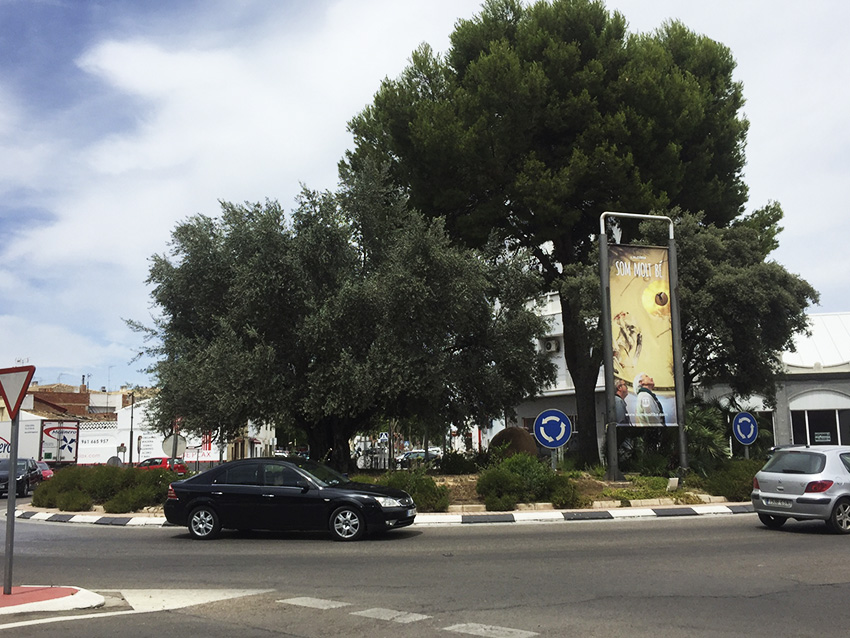 sommoltbe-850x638-041